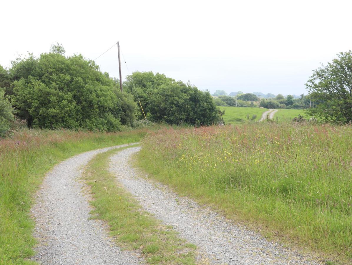 Willa Tan Y Bryn Pwllheli Zewnętrze zdjęcie